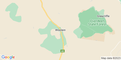 Woolein crime map