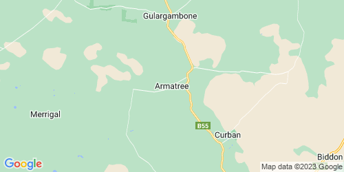 Armatree crime map