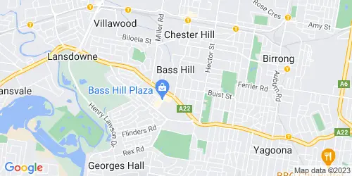Bass Hill crime map