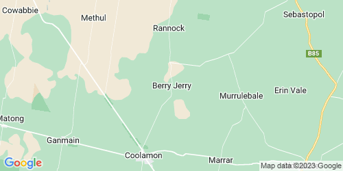 Berry Jerry crime map
