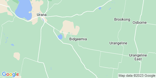 Bidgeemia crime map