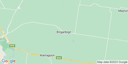 Birganbigil crime map