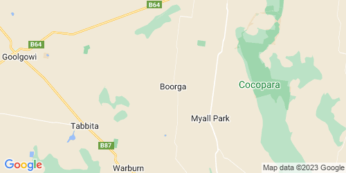 Boorga crime map