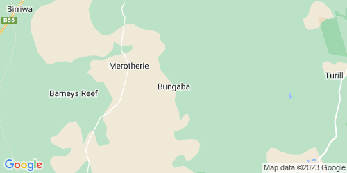 Bungaba crime map