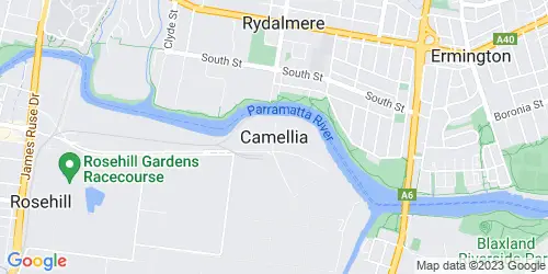 Camellia crime map