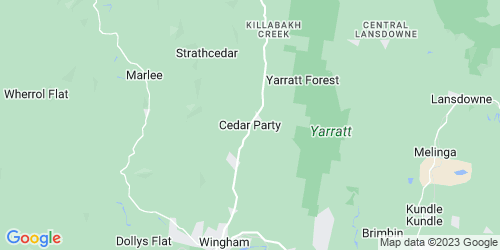 Cedar Party crime map