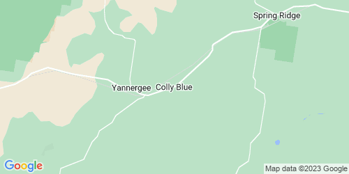 Colly Blue crime map