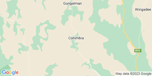 Conimbia crime map