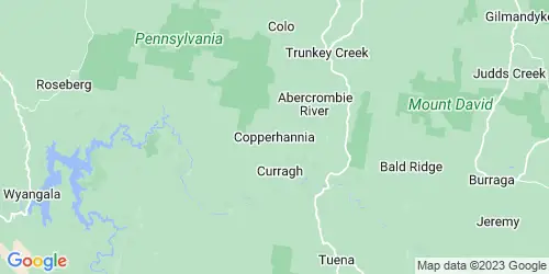 Copperhannia crime map