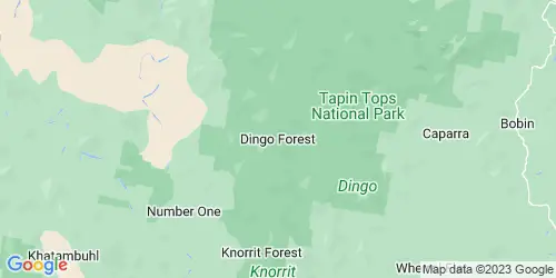 Dingo Forest crime map