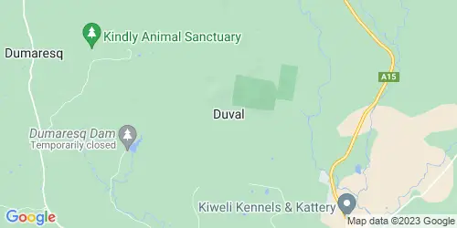 Duval crime map