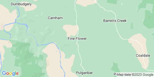 Fine Flower crime map