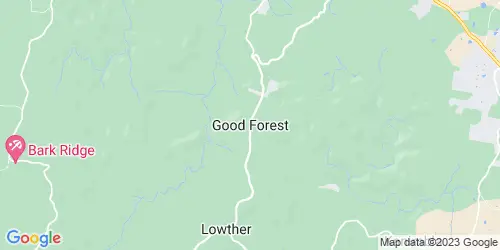 Good Forest crime map