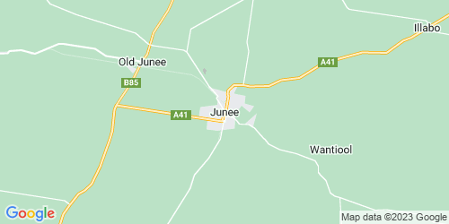Junee crime map