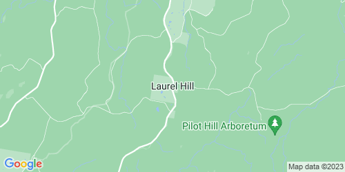 Laurel Hill crime map