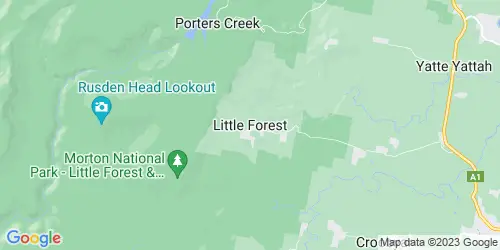 Little Forest crime map