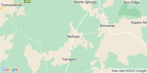 Mollyan crime map