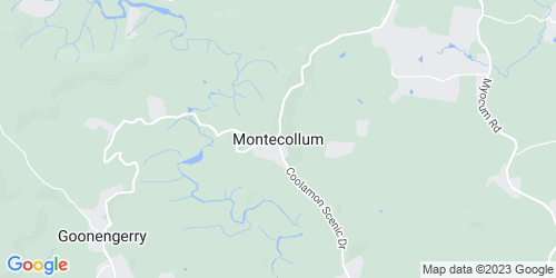 Montecollum crime map