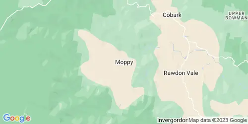Moppy crime map