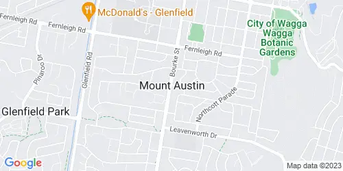 Mount Austin crime map