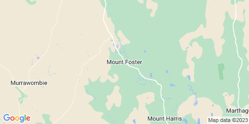 Mount Foster crime map