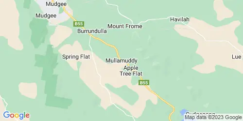 Mullamuddy crime map