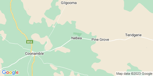 Nebea crime map