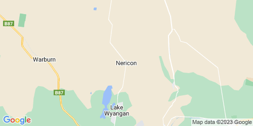 Nericon crime map