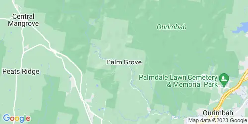 Palm Grove crime map