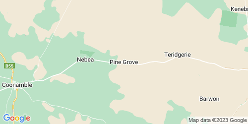 Pine Grove crime map