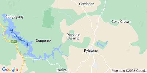 Pinnacle Swamp crime map