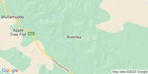 Riverlea crime map