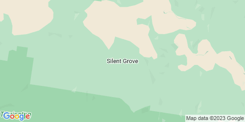 Silent Grove crime map