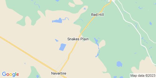Snakes Plain crime map