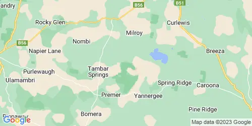 Tambar Springs crime map