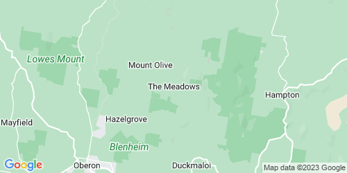 The Meadows crime map