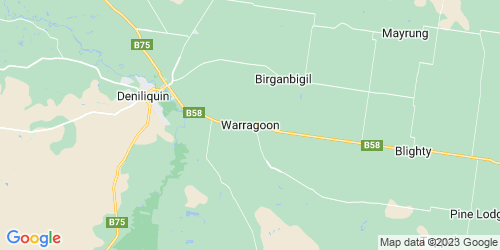 Warragoon crime map