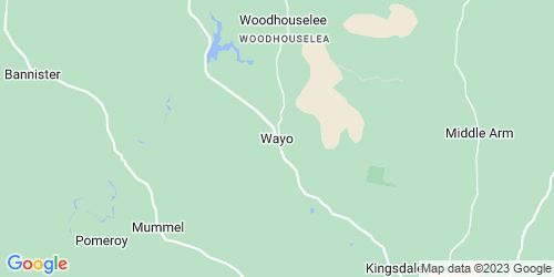 Wayo crime map