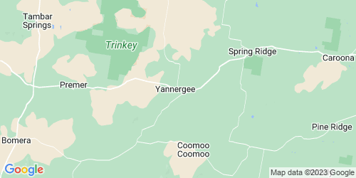 Yannergee crime map