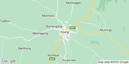 Young crime map